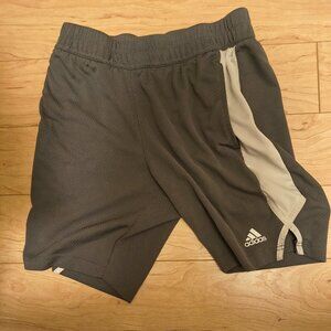 Adidas Gym Shorts